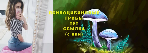 мяу мяу мука Надым