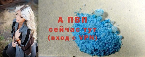 мяу мяу мука Надым