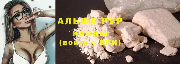мяу мяу мука Надым