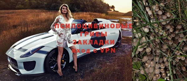 мяу мяу мука Надым