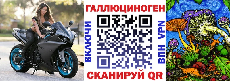 Купить закладки  Первомайск  Псилоцибиновые грибы мицелий 