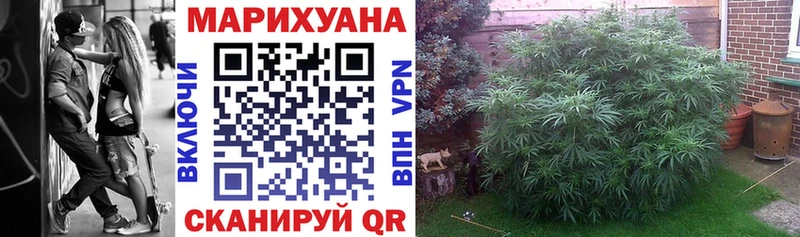 Купить где  Первомайск  Канабис индика 